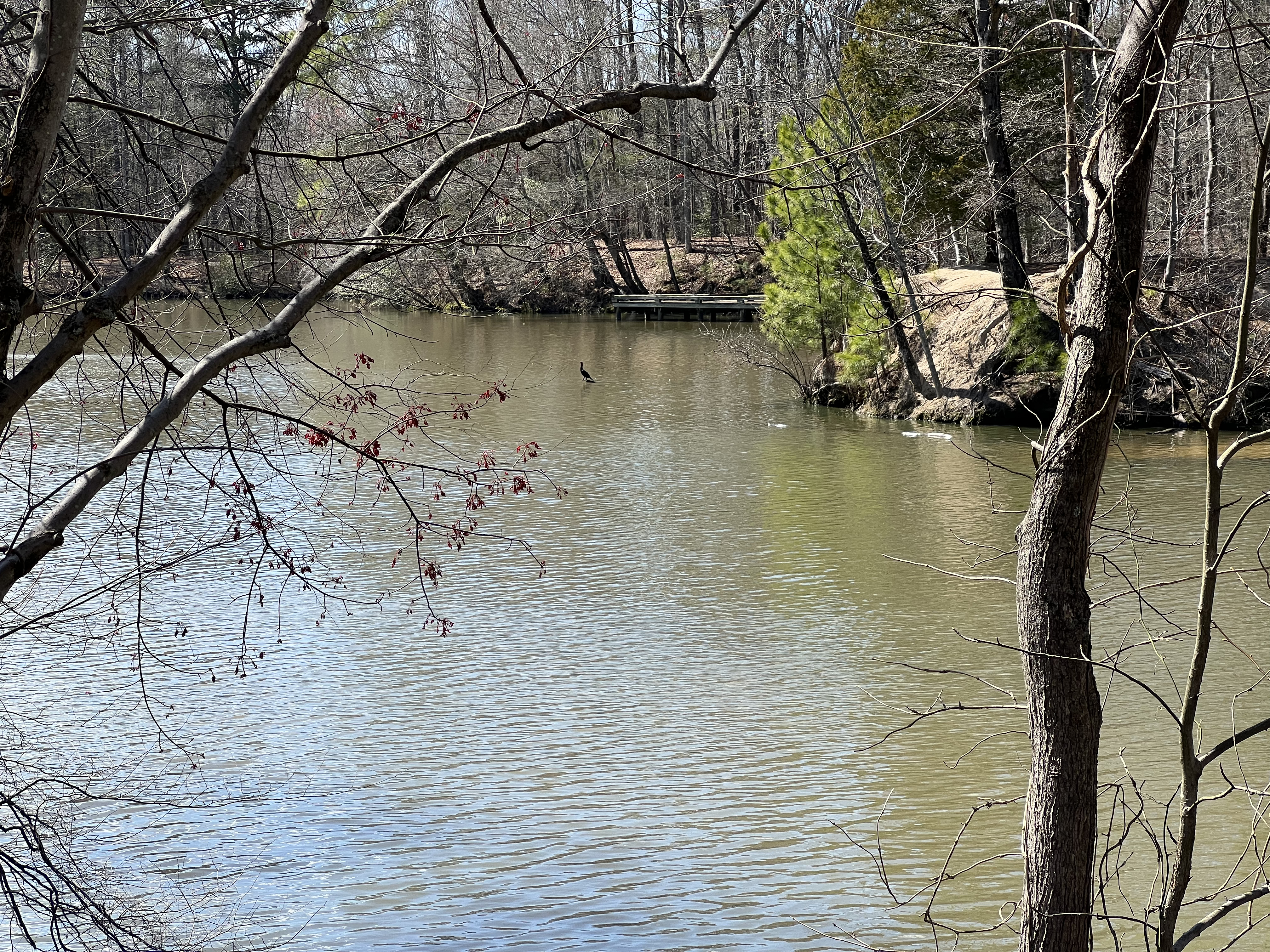 ./2025/02 - Sunseeker RV/IMG_5334.jpg